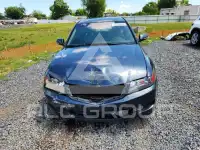 2006 Acura TSX фото