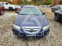 2006 Acura TL фото