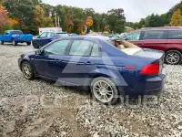 2006 Acura TL фото