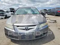 2006 Acura TL фото
