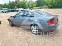2006 Acura TL фото