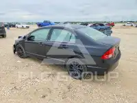 2006 Honda CIVIC фото