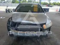 2006 Honda CIVIC фото