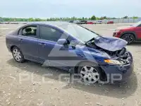 2006 Honda CIVIC фото