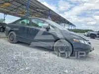 2006 Honda CIVIC фото