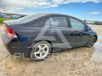 2006 Honda CIVIC photo