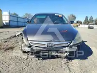 2006 Honda Accord фото