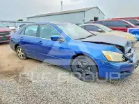 2006 Honda Accord фото
