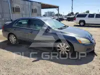 2006 Honda Accord фото
