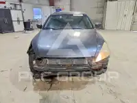 2006 Honda Accord фото