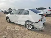 2006 Honda CIVIC фото