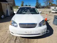 2006 Toyota COROLLA фото