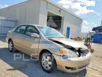 2006 Toyota COROLLA фото