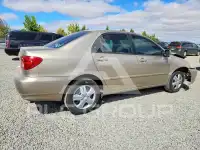 2006 Toyota COROLLA фото