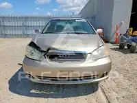 2006 Toyota COROLLA фото