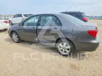 2006 Toyota COROLLA фото