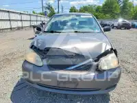2006 Toyota COROLLA фото