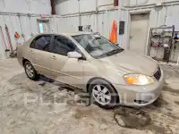 2006 Toyota COROLLA фото