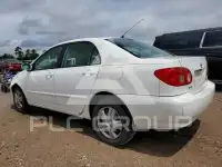 2006 Toyota COROLLA фото