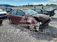 2006 Toyota COROLLA фото