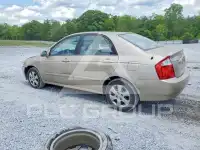 2006 KIA Spectra фото