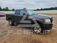 2006 Ford F-150 photo