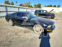 2006 Ford MUSTANG фото