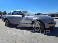 2006 Ford MUSTANG photo