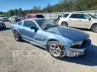 2006 Ford MUSTANG фото