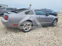 2006 Ford MUSTANG photo