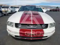 2006 Ford MUSTANG фото