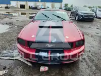 2006 Ford MUSTANG фото