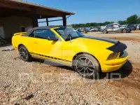 2006 Ford MUSTANG фото