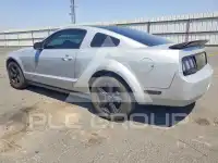 2006 Ford MUSTANG photo