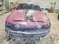 2006 Ford MUSTANG фото
