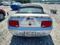 2006 Ford MUSTANG фото