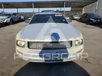 2006 Ford MUSTANG photo
