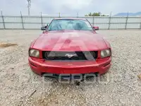 2006 Ford MUSTANG фото