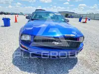 2006 Ford MUSTANG фото