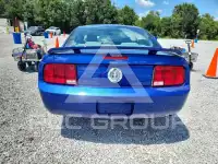 2006 Ford MUSTANG фото