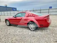 2006 Ford MUSTANG фото
