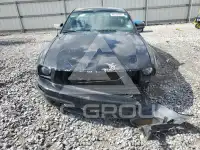 2006 Ford MUSTANG фото