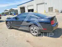 2006 Ford MUSTANG photo