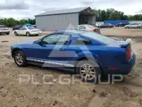 2006 Ford MUSTANG фото