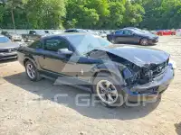 2006 Ford MUSTANG photo