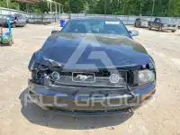 2006 Ford MUSTANG photo