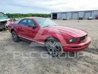 2006 Ford MUSTANG фото