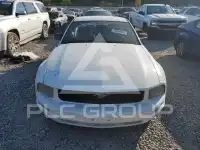 2006 Ford MUSTANG photo