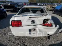 2006 Ford MUSTANG photo