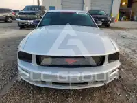 2006 Ford MUSTANG photo